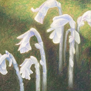 April 2023 Exhibit
